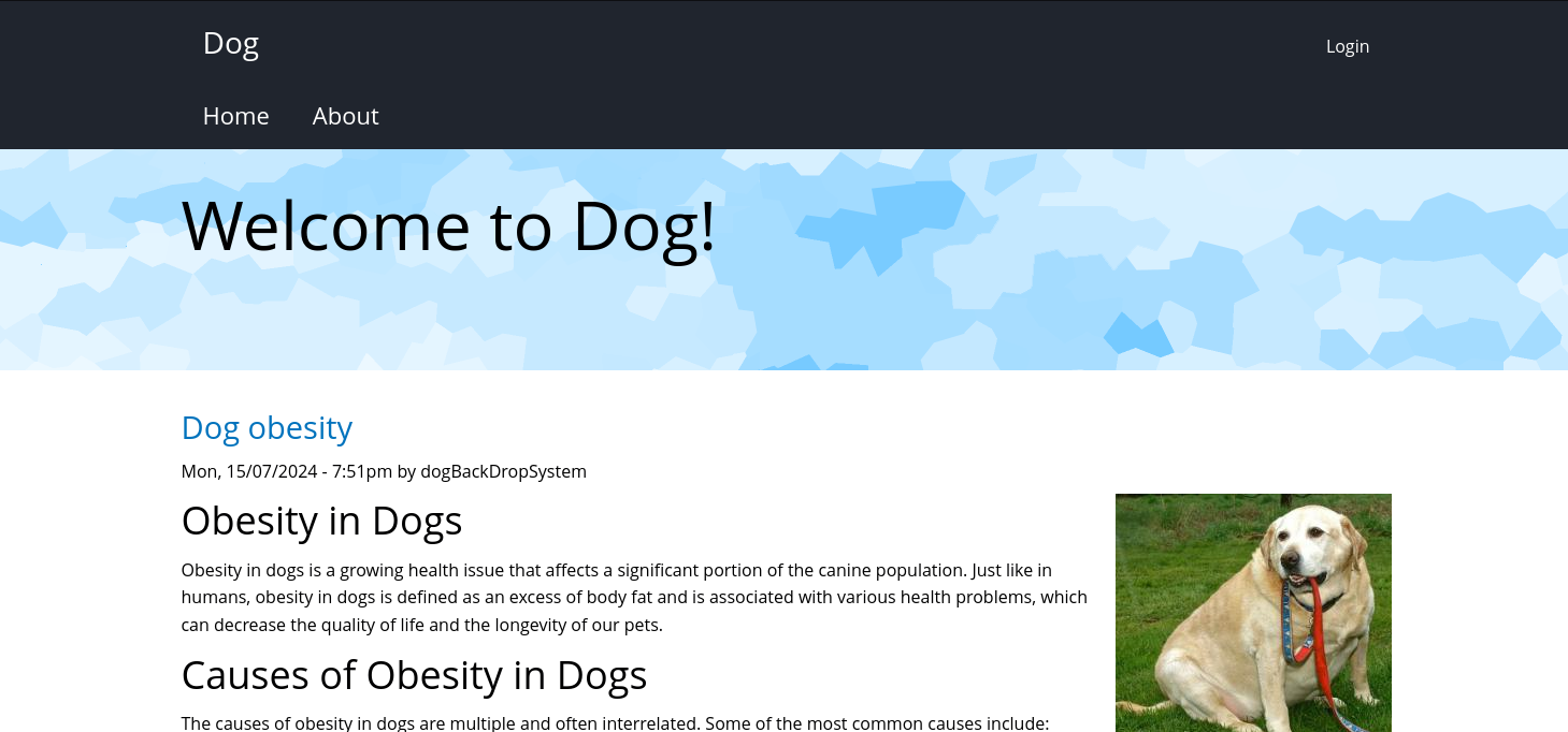 Landing Page